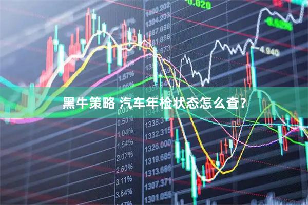 黑牛策略 汽车年检状态怎么查？