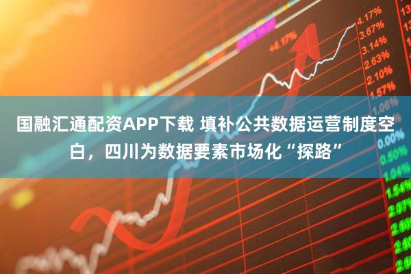 国融汇通配资APP下载 填补公共数据运营制度空白，四川为数据要素市场化“探路”