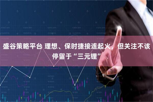 盛谷策略平台 理想、保时捷接连起火，但关注不该停留于“三元锂”